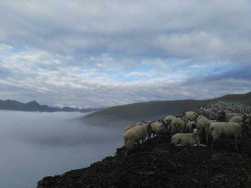 美中国】达瓦更扎看云海不朽情缘游戏入口【大(图4) 美中国】达瓦更扎看云海不朽情缘游戏入口【大(图4)