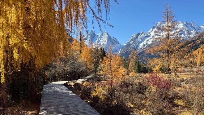 OP10 榜单发布！高反保障、藏文化体验核心不朽情缘试玩版2025 川西旅游旅行社 T(图8)