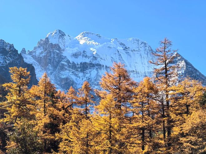 OP10 榜单发布！高反保障、藏文化体验核心不朽情缘试玩版2025 川西旅游旅行社 T(图5)