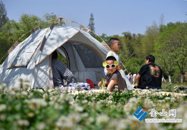 装备产业点亮出海新动能不朽情缘网站丹阳户外